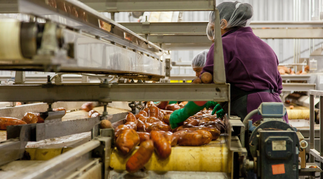 Energy-Efficient Led Lighting For Food Processing