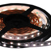 16.4-foot waterproof RGBW CCT LED SMD rope light, IP67-rated for outdoor use, from the Ribbon Lighting Series, emitting vibrant multicolor and white light.
