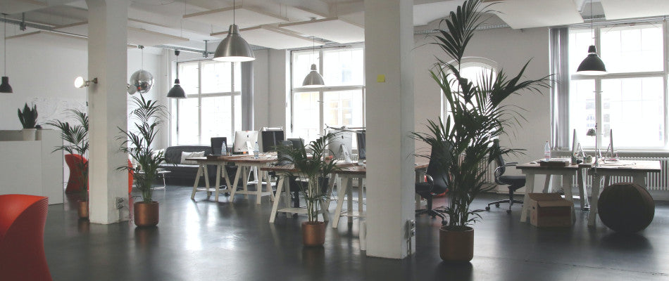 The Effect of LED Lighting on Work Productivity