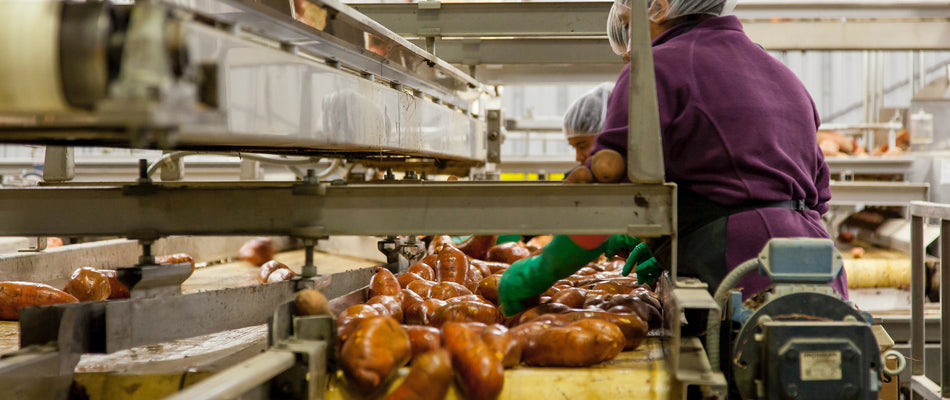 Energy-Efficient Led Lighting For Food Processing
