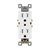 Duplex Receptacles Category Image