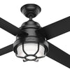 Wet rated coastal ceiling fan with wall control