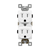 15 Amp tamper Resistant Duplex Receptacles