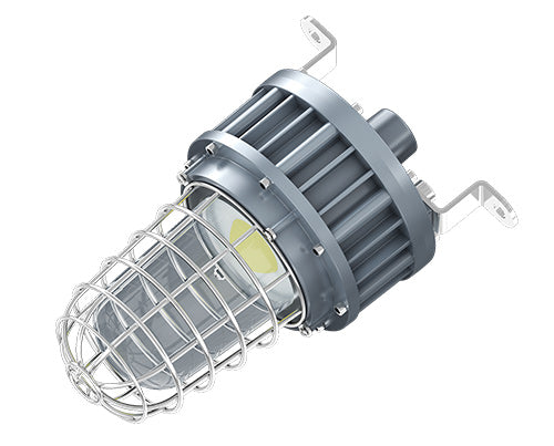 LED Explosion Proof Jelly Jar Light | Class I Division I | 5000K | Dimmable | 100-277V | EPC G Series | 20, 30 & 40W