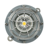 LED Explosion Proof Jelly Jar Light, Class I Division I rated, 5000K color temperature, dimmable, 100-277V, EPC G Series, available in 20W, 30W, and 40W options.