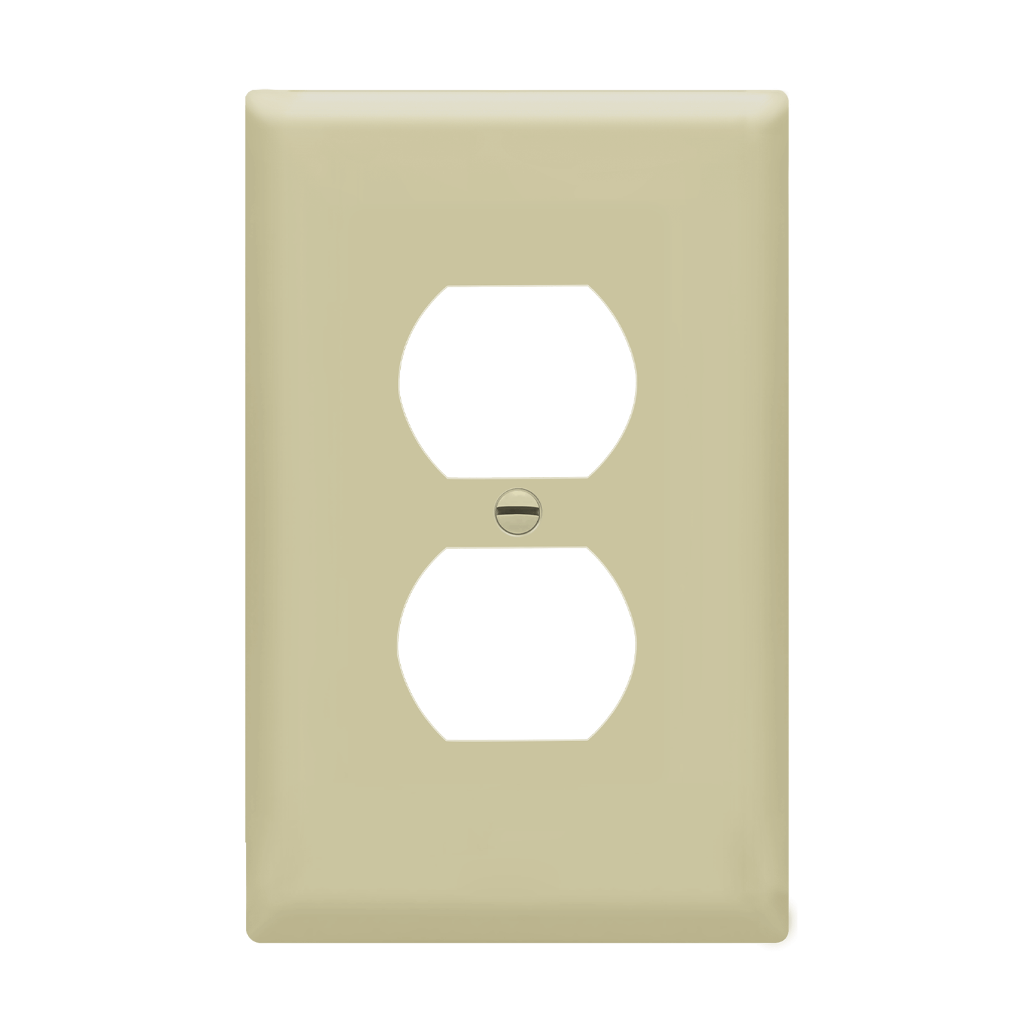 Mid-Size Duplex Wall Plate Installed Over Electrical Outlet