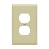 Mid-Size Duplex Wall Plate Installed Over Electrical Outlet