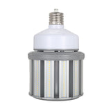 80W LED HID replacement bulb CLC6-80WD-E(X)39 5000K mogul base