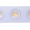 adjustable triple spotlight recessed LED fixture