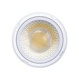 Aster-4-inch-14W-1400-lumens-adjustable-20-55-degree-led-module-g10011