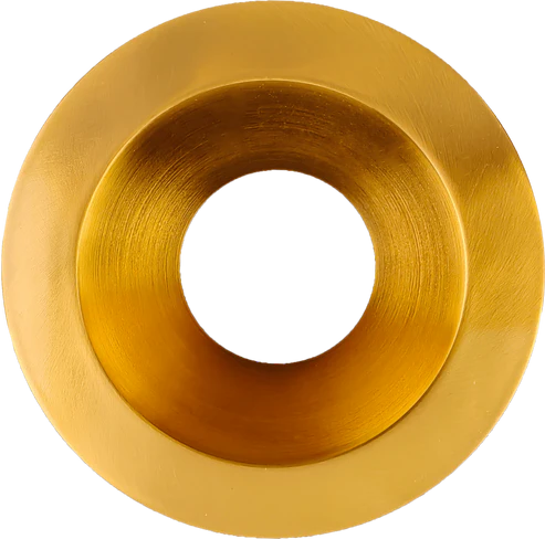 6 Inch Round Trims  | Brushed Brass | Aster Series | Goodlite G-22615