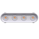 Ellipse-3-inch-oval-four-head-regress-gimbal-LED-downlights-white-and-black