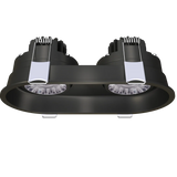 Dual-40-degree-narrow-beam-recessed-oval-gimbal-fixtures-with-FT6-cable