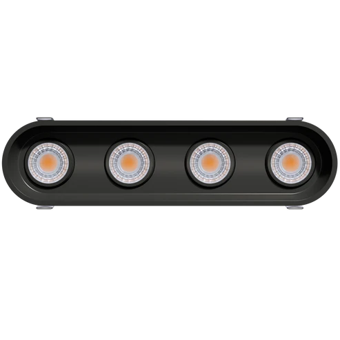 Four-independently-adjustable-gimbal-heads-in-linear-oval-recessed-trim