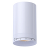 Jupiter-2.5-inch-round-adjustable-beam-led-cylinder-downlight-white-and-black-models