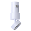 Jupiter-2-5-inch-white-adjustable-recessed-mount-monopoint-canopy-swivel
