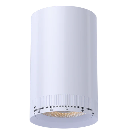3 Inch Round Beam Adjustable LED Cylinder | 1,600Lm | 120/277V | CCT Selectable | Jupiter Series | Goodlite G-30000/01