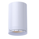 Jupiter-3-inch-round-adjustable-beam-led-cylinder-downlight-white-and-black-models