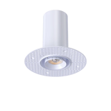 Round-trimless-zoom-lens-ceiling-fixture-with-20-to-55-degree-beam-spread