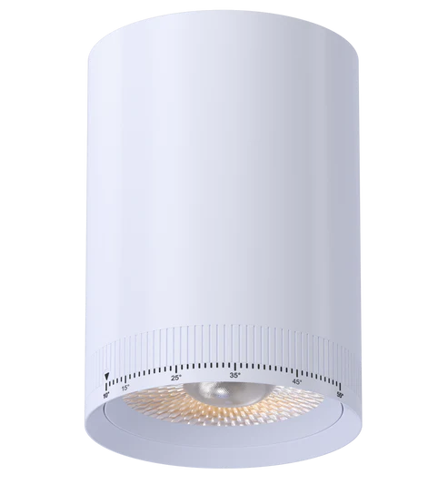 3.3 Inch Round Beam Adjustable LED Cylinder | 2,000Lm | 120/277V | CCT Selectable | Jupiter Series | Goodlite G-33000/01