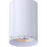3.3 Inch Round Beam Adjustable LED Cylinder | 2,000Lm | 120/277V | CCT Selectable | Jupiter Series | Goodlite G-33000/01