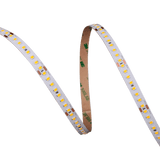 5.5W per foot 2835 LED tape light 24V 16.4FT strip CRI94 IP20 dimmable