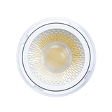 Aster-3-inch-9W-850-lumens-adjustable-20-55-degree-led-module-g96013