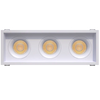 Triple-head-trimmed-recessed-accent-light-with-deep-regress-multiple-baffles