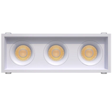 Triple-head-trimmed-recessed-accent-light-with-deep-regress-multiple-baffles
