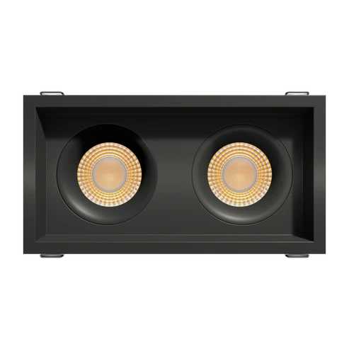 Double-head-trimmed-recessed-accent-light-with-deep-regress-multiple-baffles