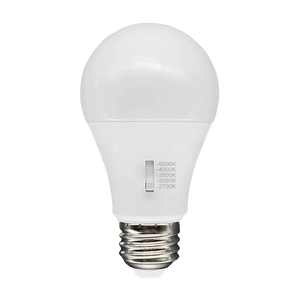 Shop Wholesale LED Light Bulbs Today