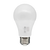 LED Bulb