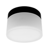 LR25415-3-inch-regressed-trimless-push-n-lock-spotlight-snoot-frost-white