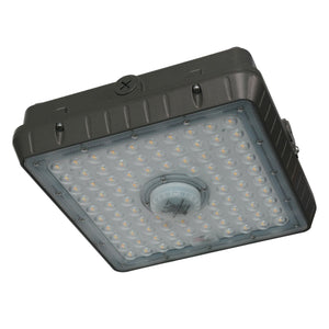 LED Canopy Light
