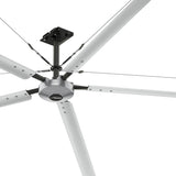 Ceiling fans