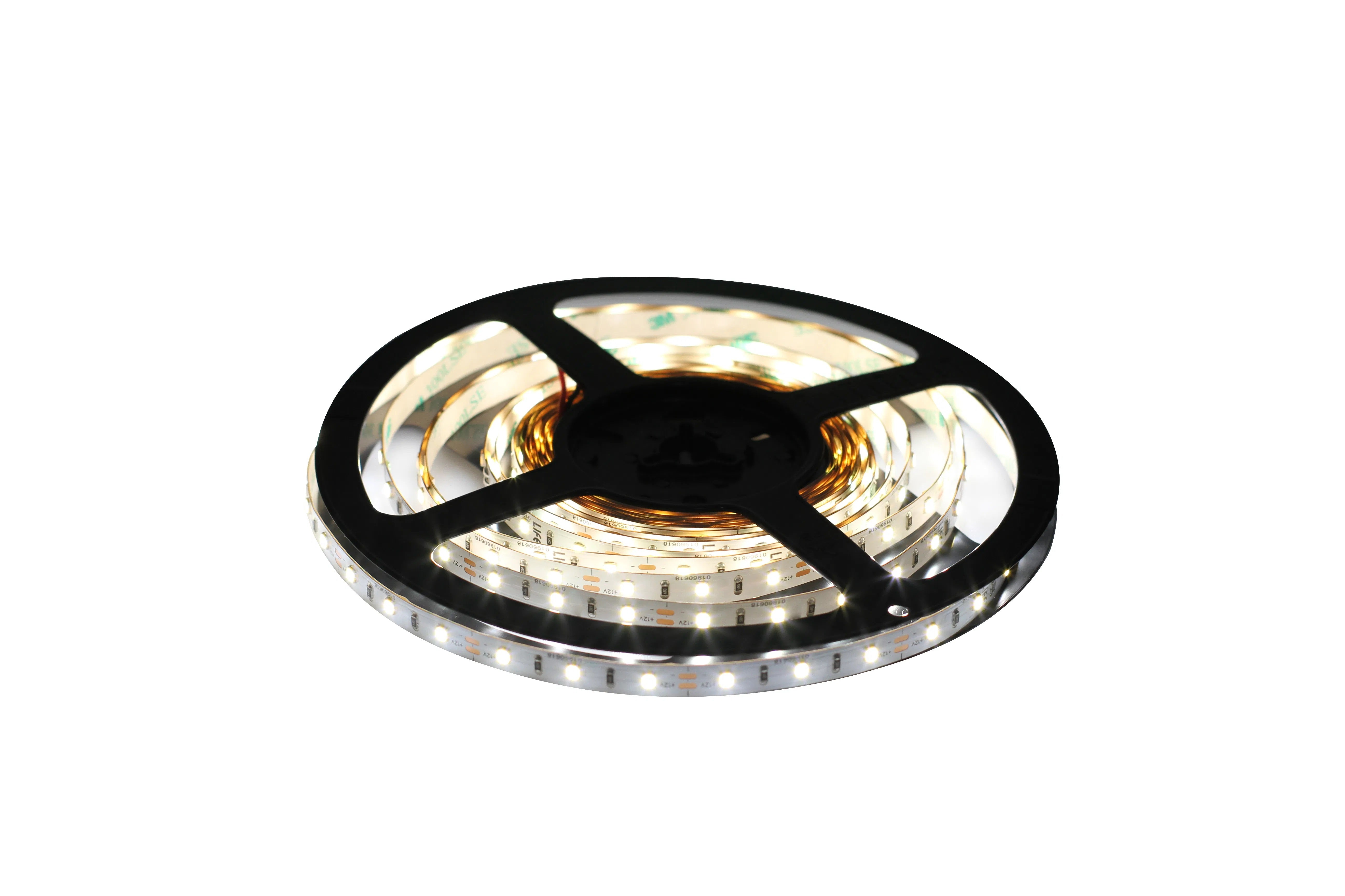 16.4 Ft LED SMD HO Rope Light 24V IP20 | Ribbon Lighting Series | 72W