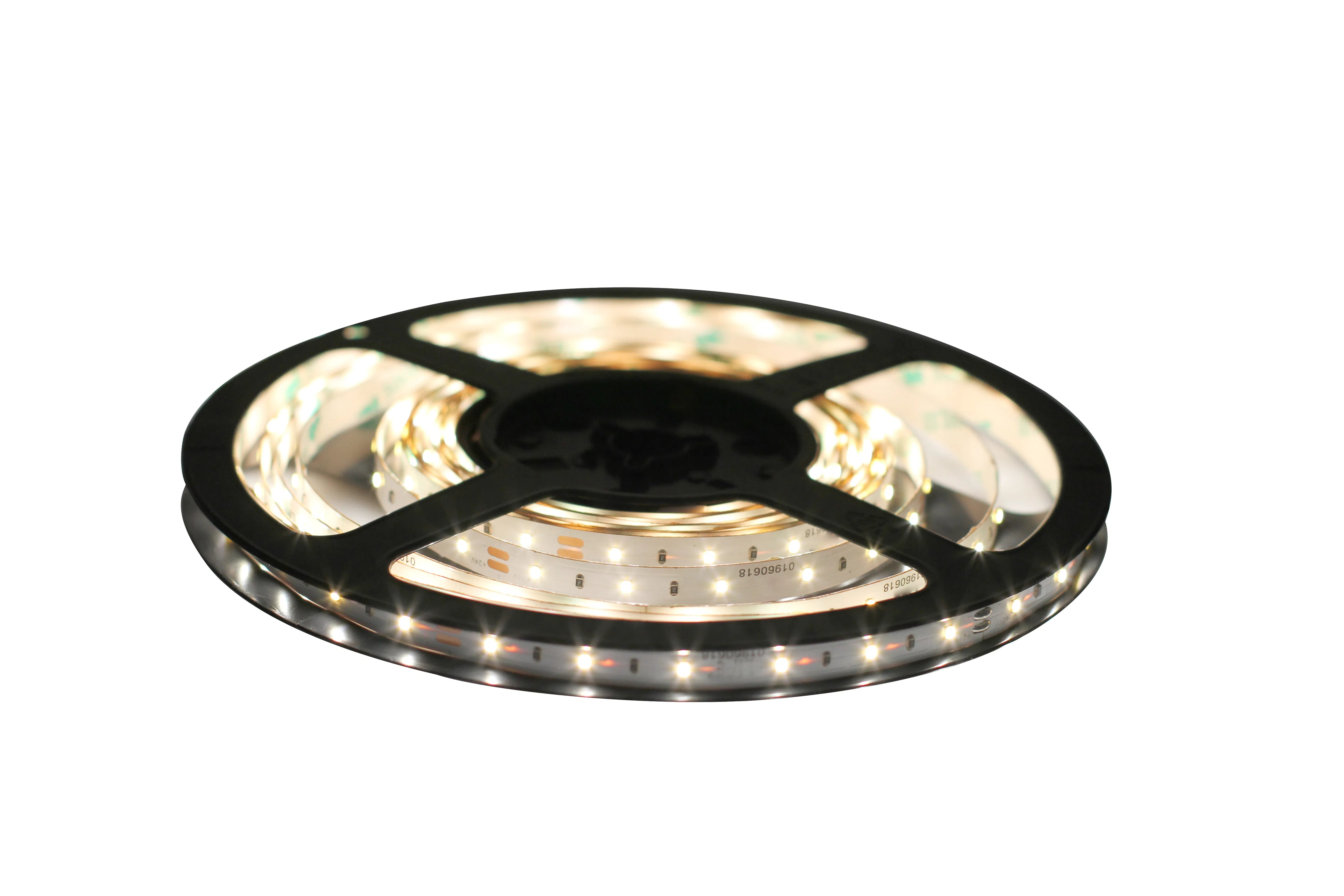 16.4Ft LED SMD Rope Light 24V IP20 | Ribbon Lighting Series | 25W