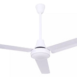 56 Inch Industrial Ceiling Fan | 3 Straight Metal Blades | 120V | Canarm CP56D