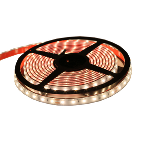 Coiled 16.4-foot LED SMD rope light emitting warm white light, designed for 24V systems with IP54 rating, suitable for damp locations, from the Ribbon Lighting Series.