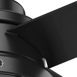 Searow 54 inch outdoor ceiling fan with LED light