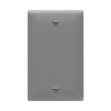 1-Gang Blank Wall Plate | Residential Grade