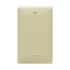 1-Gang Blank Wall Plate | Residential Grade