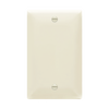 1-Gang Blank Wall Plate | Residential Grade