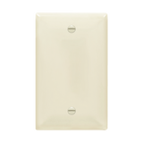 Thermoplastic blank wall plate for electrical box