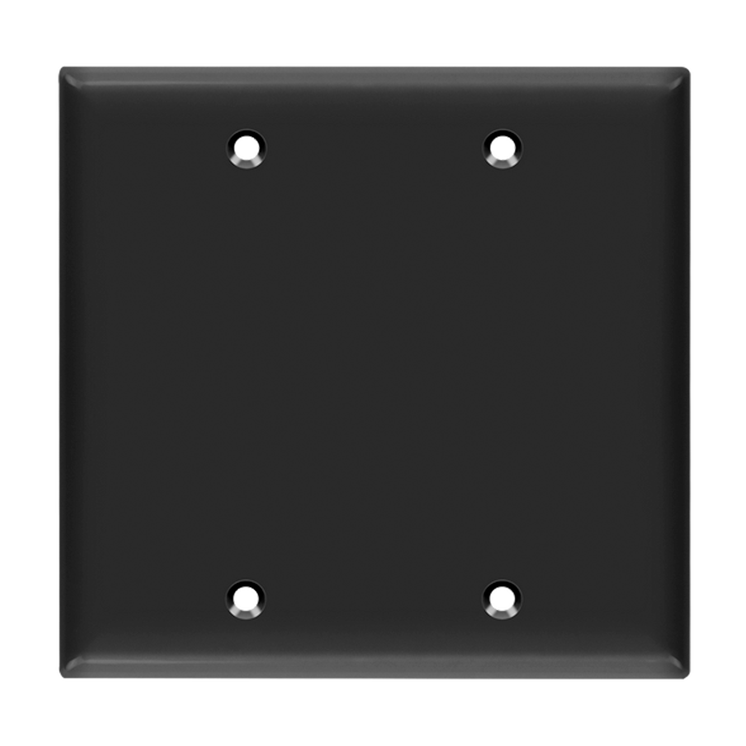 Blank electrical box cover double gang