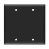 2-Gang Blank Wall Plate | Residential Grade