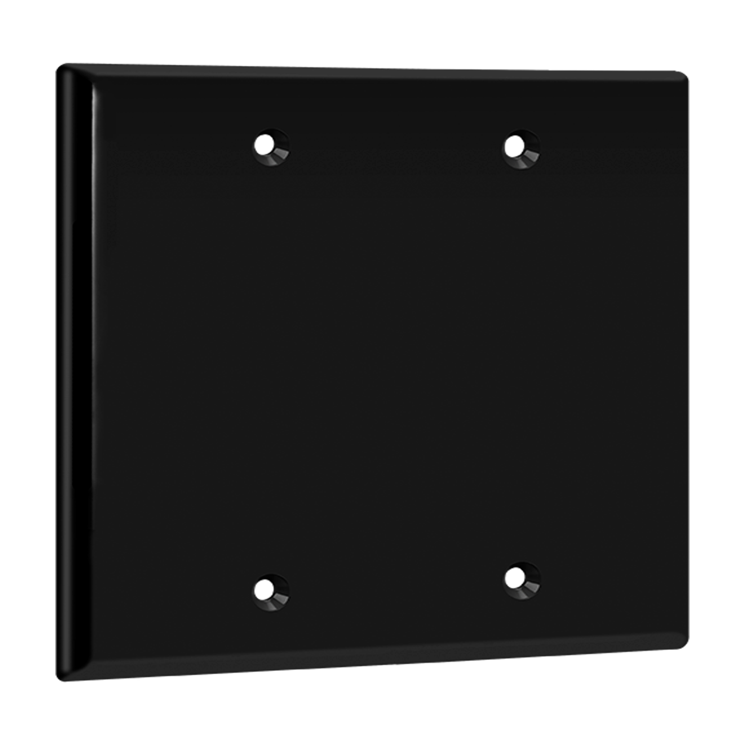 Blank electrical box cover double gang