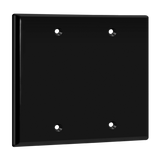 Blank electrical box cover double gang