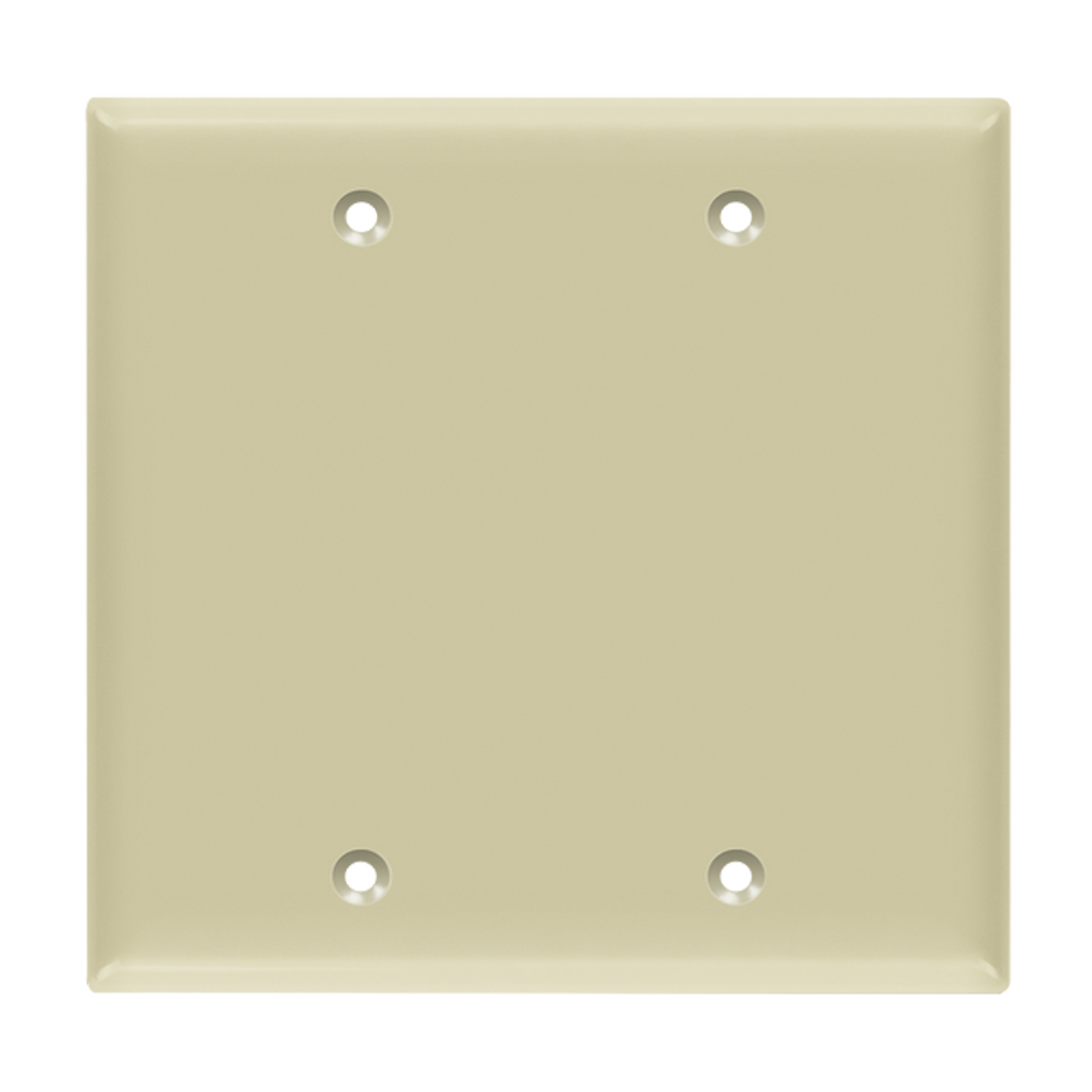Blank electrical box cover double gang