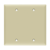 2-Gang Blank Wall Plate | Residential Grade